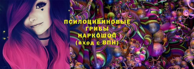 Псилоцибиновые грибы MAGIC MUSHROOMS  купить наркотик  гидра как зайти  Шуя 